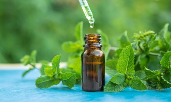 Menta piperita olio essenziale perché usarlo e quando è utile
