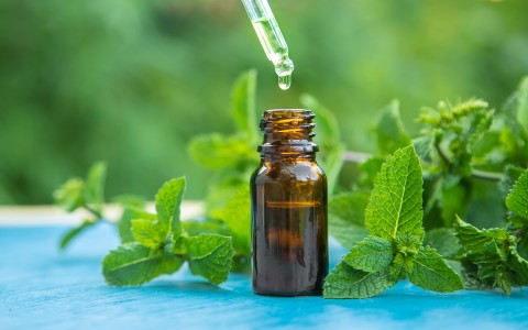 Menta piperita olio essenziale perché usarlo e quando è utile