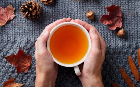 Mindfulness e tisane: un viaggio sensoriale per il benessere quotidiano