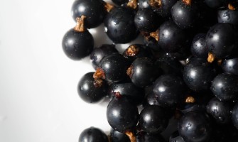 Ribes nero per allergie