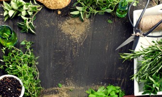 Erbe in cucina: guida pratica tra tradizione e ricette moderne Erbe in cucina: guida pratica tra tradizione e ricette moderne