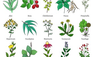 Erbe naturali per la pressione alta: i rimedi più efficaci Erbe naturali per la pressione alta: i rimedi più efficaci