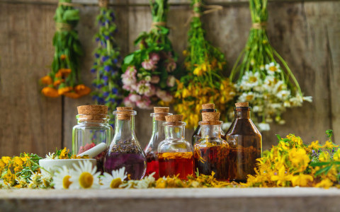 Grappe, amari e distillati con erbe officinali: guida alla tradizione casalinga