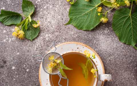 Infuso depurativo con betulla e ortica: proprietà e ricetta Infuso depurativo con betulla e ortica: proprietà e ricetta