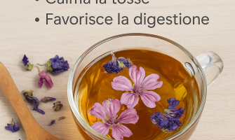 Tisana alla malva e fiori: benefici, proprietà e ricetta naturale Tisana alla malva e fiori: benefici, proprietà e ricetta naturale