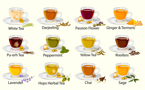 Differenza tra tisane, infusi e decotti Differenza tra tisane, infusi e decotti