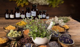 Erbe officinali e digiuno intermittente: quali piante aiutano davvero Erbe officinali e digiuno intermittente: quali piante aiutano davvero