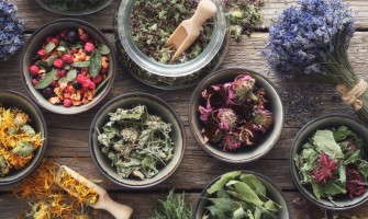 Erbe alpine medicinali: proprietà, benefici e usi delle piante di montagna Erbe alpine medicinali: proprietà, benefici e usi delle piante di montagna