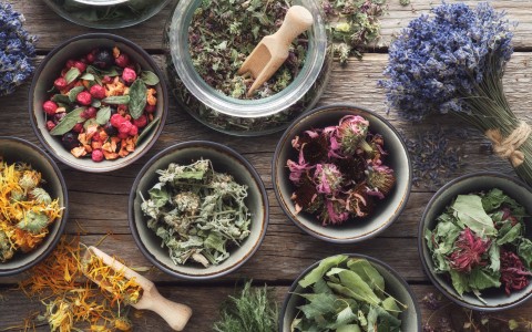 Erbe alpine medicinali: proprietà, benefici e usi delle piante di montagna Erbe alpine medicinali: proprietà, benefici e usi delle piante di montagna