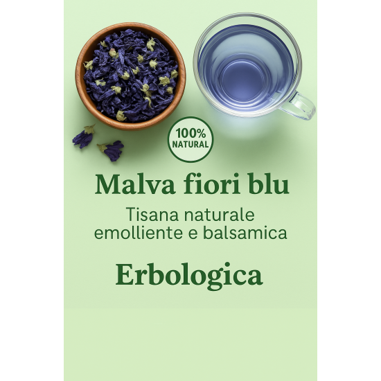 Malva fiori blu Malva fiori blu