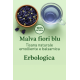 Malva fiori blu