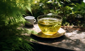 Spaccapietra pianta proprietà naturali perché il suo nome benefici usi e rimedi