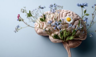 Piante medicinali per il cervello: erbe naturali per memoria e concentrazione Piante medicinali per il cervello: erbe naturali per memoria e concentrazione
