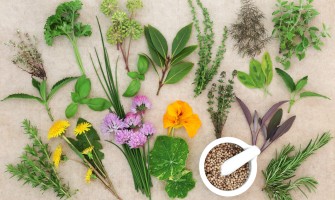 Rimedi naturali contro la stitichezza: erbe officinali e buone abitudini Rimedi naturali contro la stitichezza: erbe officinali e buone abitudini