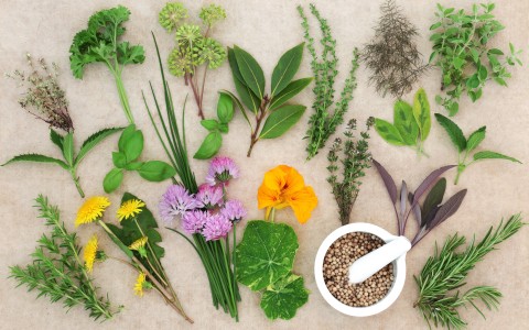 Rimedi naturali contro la stitichezza: erbe officinali e buone abitudini Rimedi naturali contro la stitichezza: erbe officinali e buone abitudini