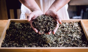 Come riutilizzare le foglie del tè: idee naturali e sostenibili Come riutilizzare le foglie del tè: idee naturali e sostenibili