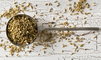 Semi di finocchio selvatico: proprietà, benefici e tisane naturali Semi di finocchio selvatico: proprietà, benefici e tisane naturali