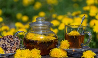 Tarassaco tisana benefici e preparazione naturale per depurare fegato e corpo