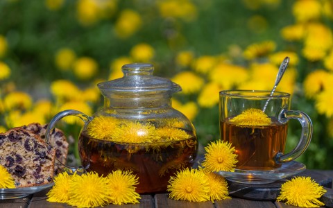 Tarassaco tisana benefici e preparazione naturale per depurare fegato e corpo