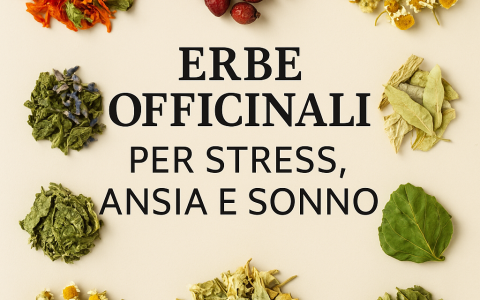 Erbe officinali per stress, ansia e sonno