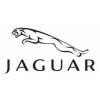 Jaguar profumi