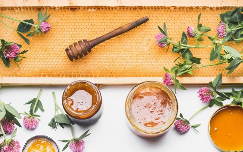 Sciroppo eucalipto miele e propoli per il benessere delle vie respiratorie