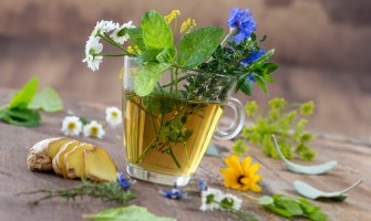 I 10 consigli per digerire bene con erbe medicinali e semplici esercizi