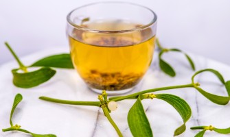 Vischio tisana usi e benefici