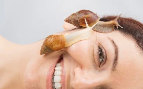 Bava di lumaca benefici: perché è una tendenza cosmetica che non passa Bava di lumaca benefici: perché è una tendenza cosmetica che non passa