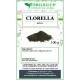 Clorella in polvere microalga naturale ricca di nutrienti Clorella in polvere microalga naturale ricca di nutrienti