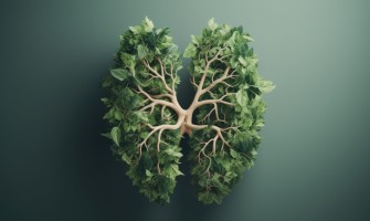 Depurare e curare i reni con rimedi naturali Depurare e curare i reni con rimedi naturali
