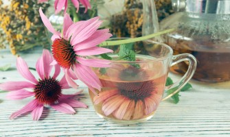 Tisana all'echinacea: Scopri i suoi benefici e i suoi usi". Tisana all'echinacea: Scopri i suoi benefici e i suoi usi".