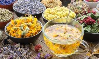 Disintossicarsi dopo le vacanze scoprite il potere curativo delle erbe medicinali per il vostro corpo