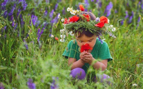 Erbe medicinali per la salute dei bambini