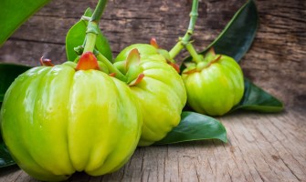 Garcinia Cambogia un potente integratore per la perdita di peso Garcinia Cambogia un potente integratore per la perdita di peso