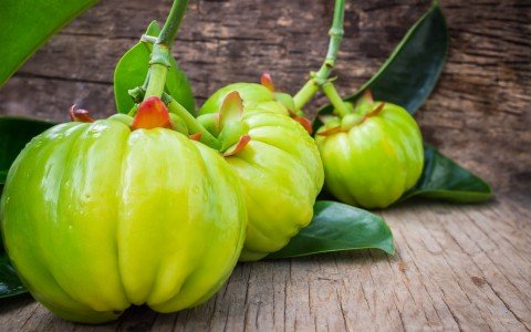 Garcinia Cambogia un potente integratore per la perdita di peso