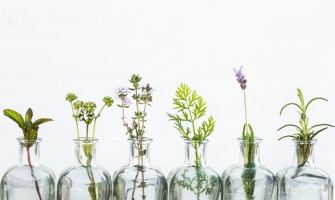 Grappe aromatiche per l'estate: le migliori erbe da utilizzare Grappe aromatiche per l'estate: le migliori erbe da utilizzare