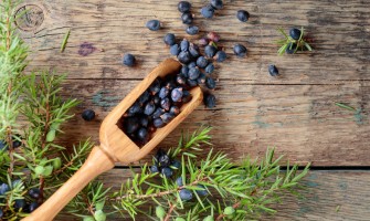 L'arte di preparare il liquore di ginepro alpino: Guida passo passo alla preparazione