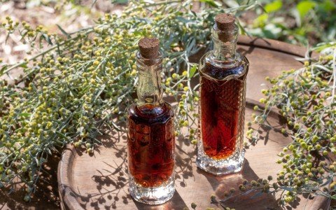 Il liquore di artemisia perfetto, la ricetta passo dopo passo