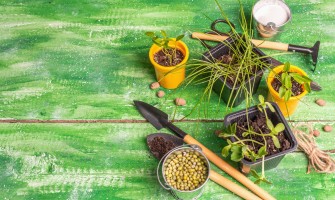 Preparati erboristici contro i parassiti di orto e frutteto