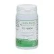 Tè verde estratto secco capsule Tè verde estratto secco capsule