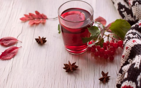 Vite rossa tisana benefici e proprietà naturali