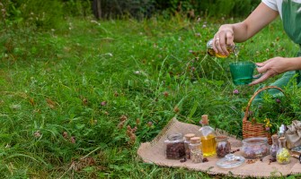 Preparati erboristici naturali per difendere orto e frutteto dai parassiti