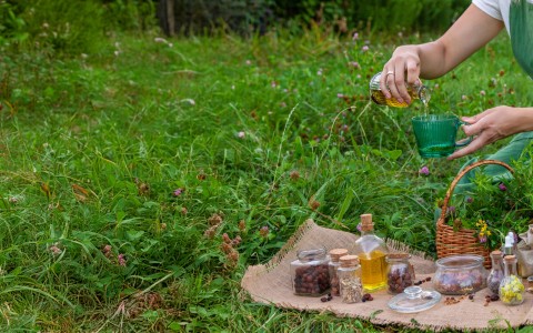 Preparati erboristici naturali per difendere orto e frutteto dai parassiti