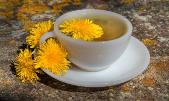 Radice di tarassaco per depurare il fegato