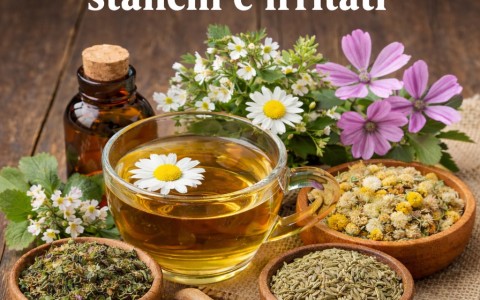 Eufrasia per occhi stanchi e irritati