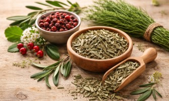 Foglie di olivo benefici per pressione colesterolo e glicemia