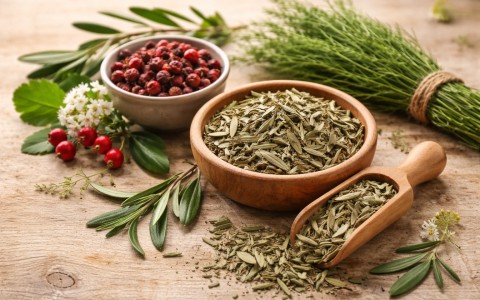 Foglie di olivo benefici per pressione colesterolo e glicemia