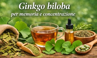 Ginkgo biloba per memoria e concentrazione