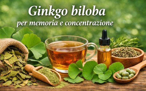 Ginkgo biloba per memoria e concentrazione